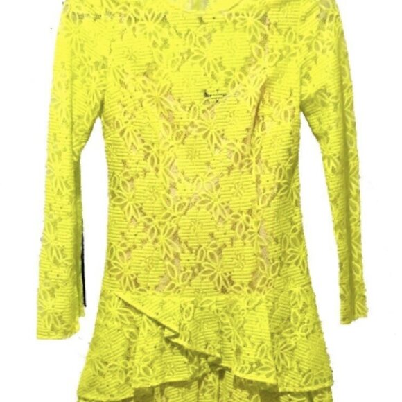 BCBGMAXAZRIA Embroidery Flower Lace Dress - Picture 7 of 12